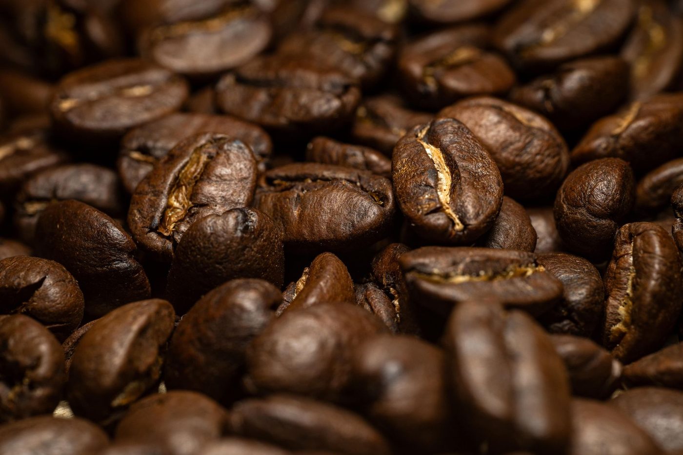 Gros plan de grains de café fraîchement torréfiés à la Brûlerie Plateau, robe brune et brillante