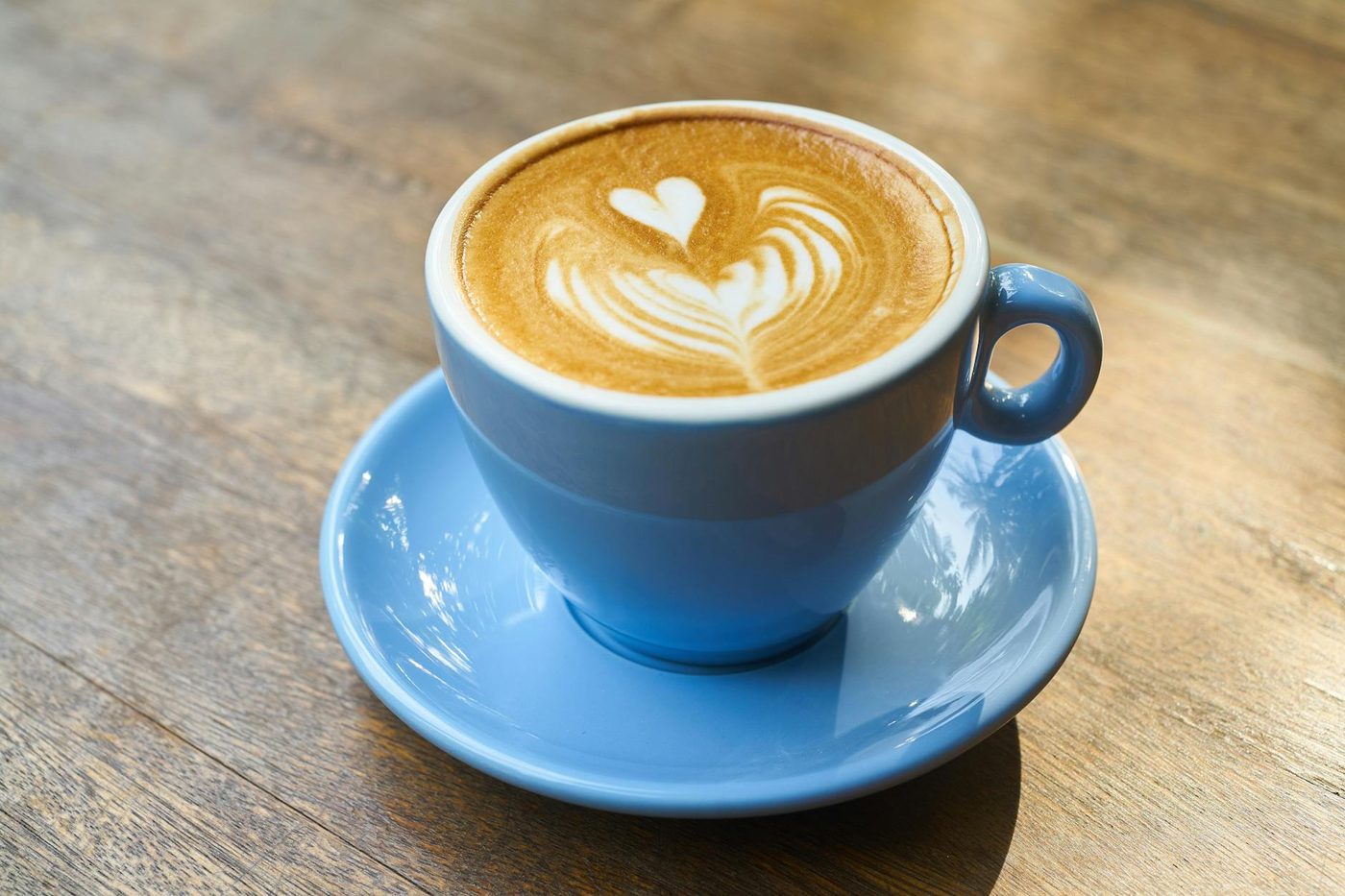 Cappuccino avec latte art en feuille dessiné à la surface de la mousse, servi à la Brûlerie Plateau